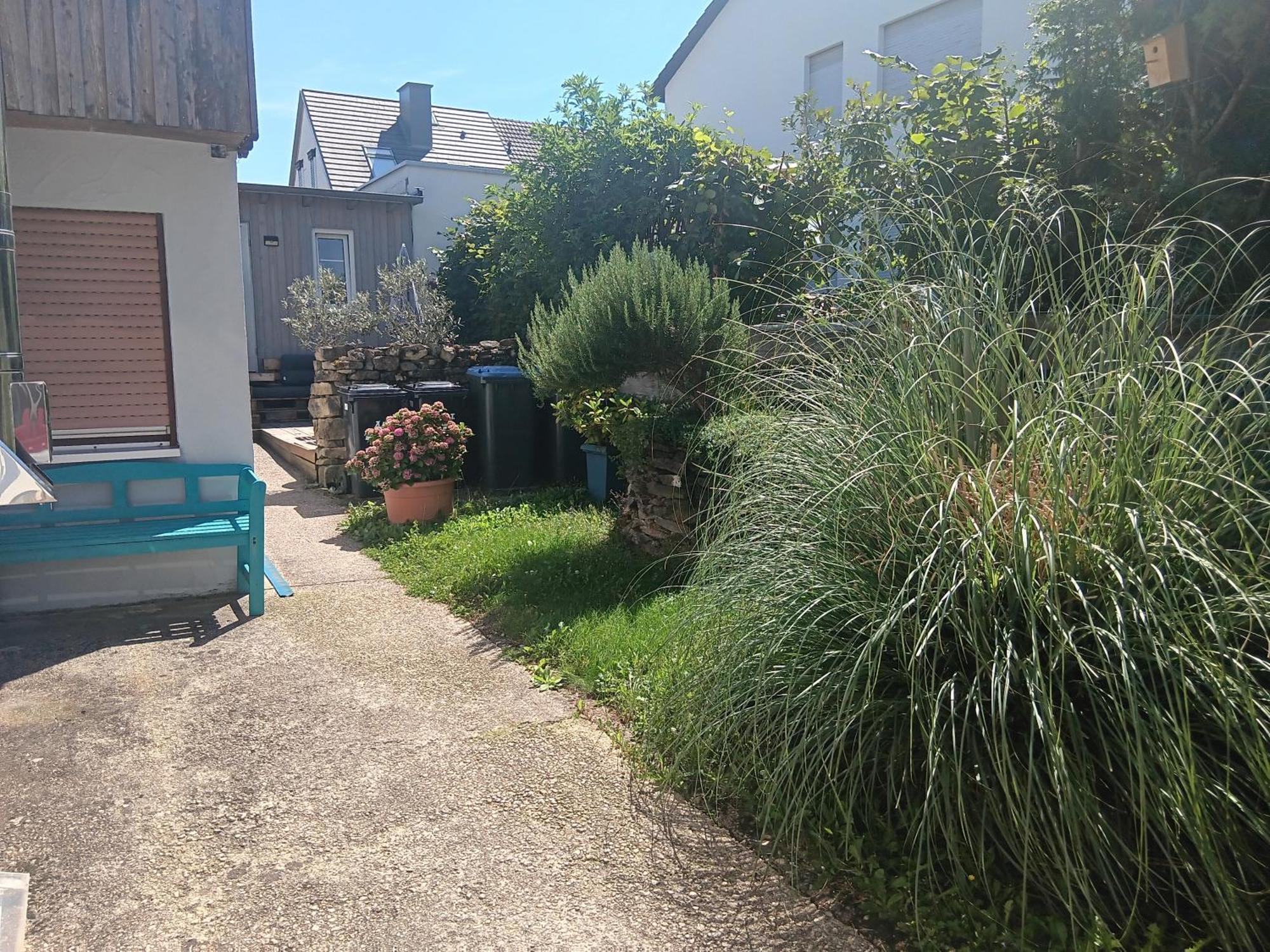 Ferienwohnung Mattheiser Weiher Trier Exterior foto